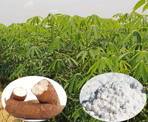 20t/d linha de produção de farinha de mandioca estabelecida na África