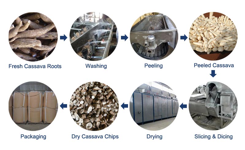 processo de produção de chips de mandioca