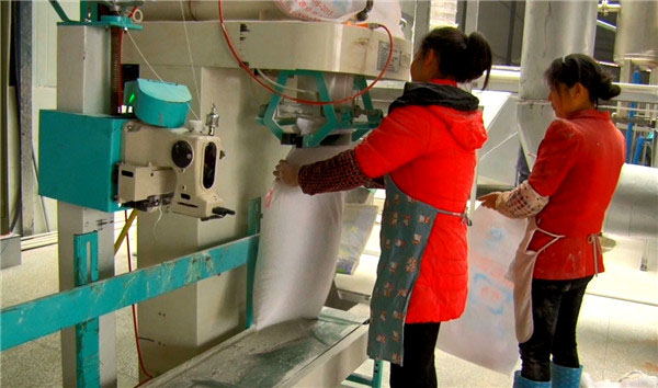 A imagem mostra o último processo da linha de produção do equipamento: ensacamento e embalagem finalizados de amido 