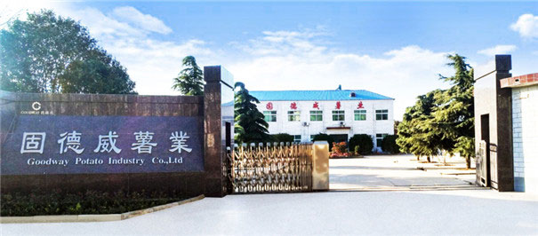 O Fabricante Profissional de Equipamentos de Processamento de Amido de Mandioca na Província de Henan