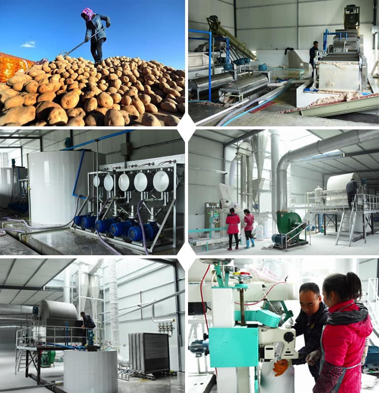 Caso do projeto: Planta de processamento de amido de batata local na China Capacidade: 300 toneladas por dia entrada batata fresca Localização: na China