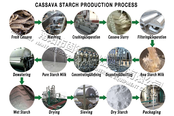 processo de produção de amido de mandioca