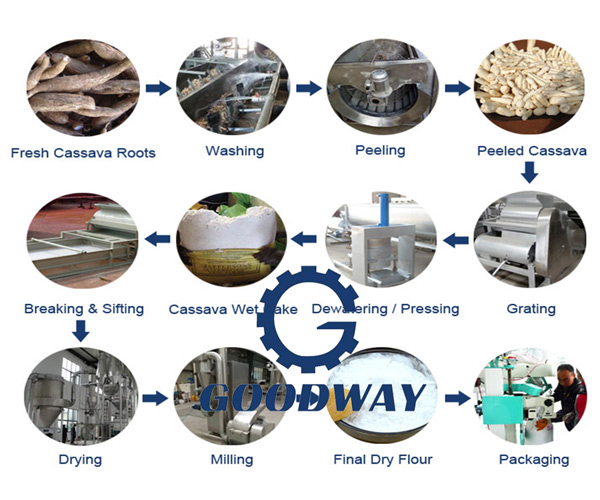 máquina de processamento de farinha de mandioca