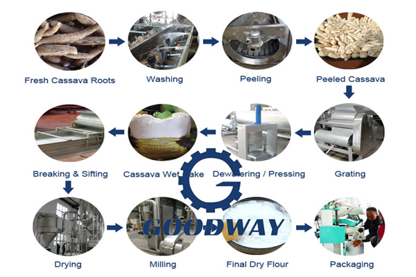 trabalhos preparatórios para fábrica de processamento de farinha de mandioca