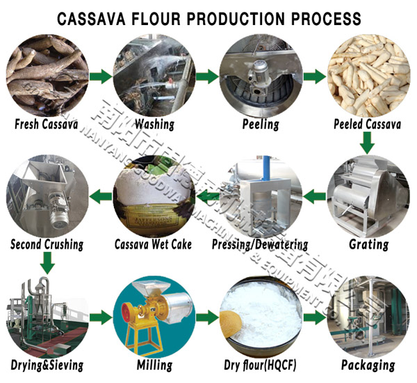 processo de produção de farinha de mandioca