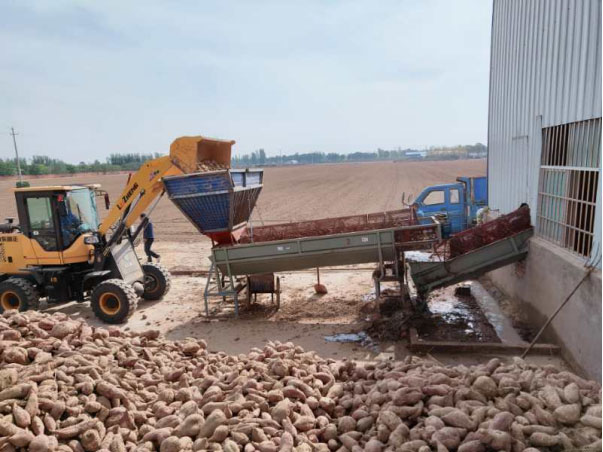 Mais um projeto automático de amido de batata-doce da Goodway desembarcou em sua cidade natal de Henan